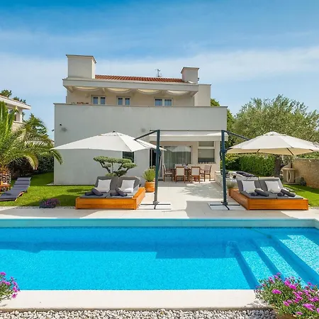 White * ロヴィニ