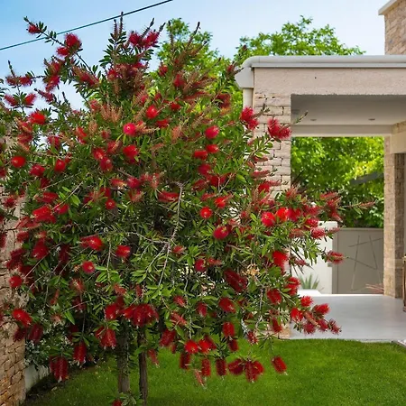 White Holiday home
